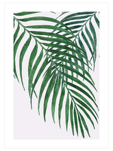 Palmiye Ağacı Yaprakları N1 - Art Print